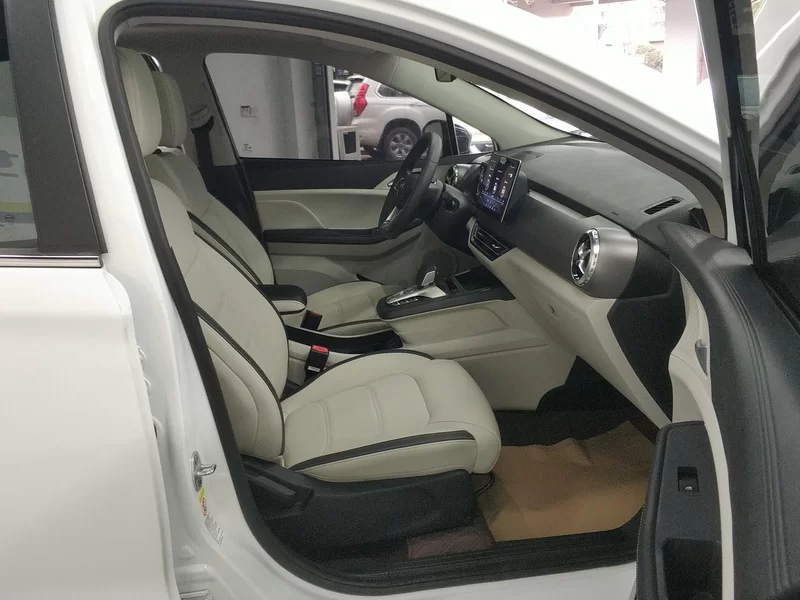 BYD Yuan Pro 2021 #19 BYD Yuan Pro 2021 car image #19