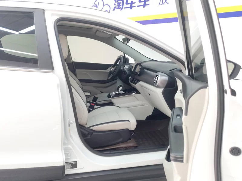 BYD Yuan Pro 2021 car image #19