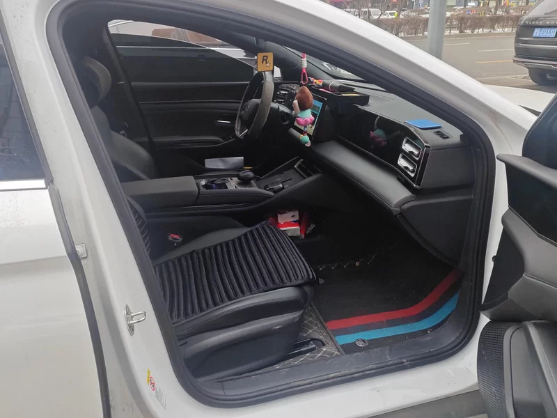 BYD Qin L 2024 car image #19