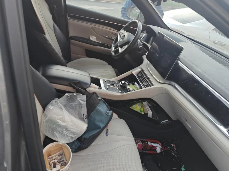 BYD Song Plus New Energy 2021 car image #19