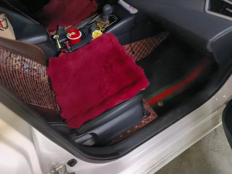 Toyota Corolla 2021 car image #19