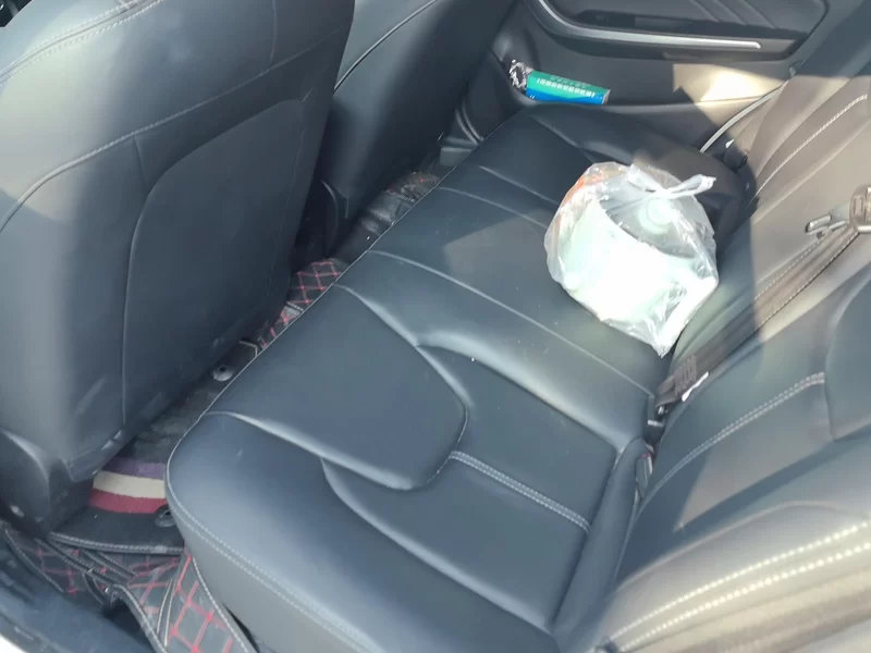 Chery Tiggo 3x 2021 #19 Chery Tiggo 3x 2021 car image #19