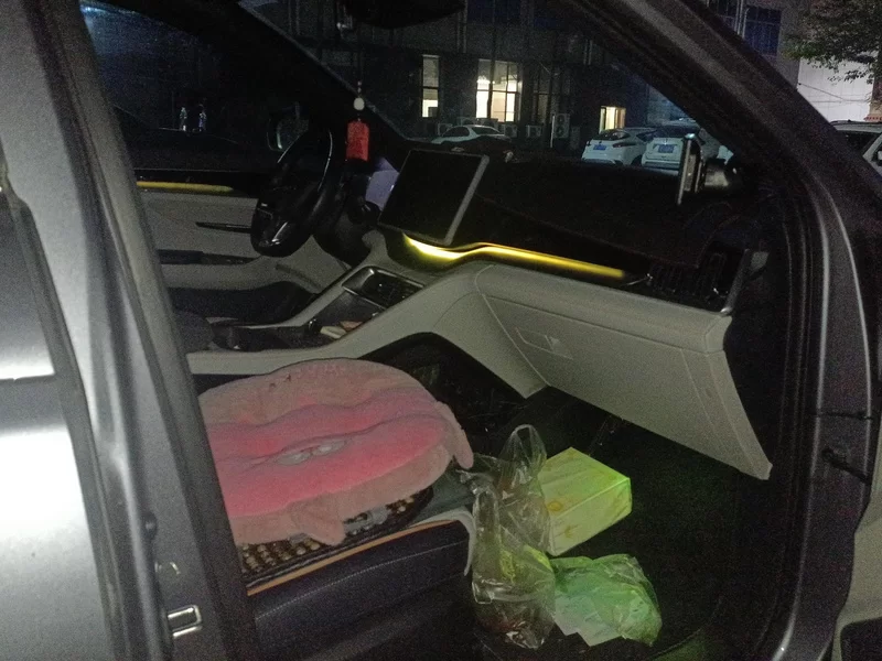 BYD Song Plus New Energy 2024 car image #19