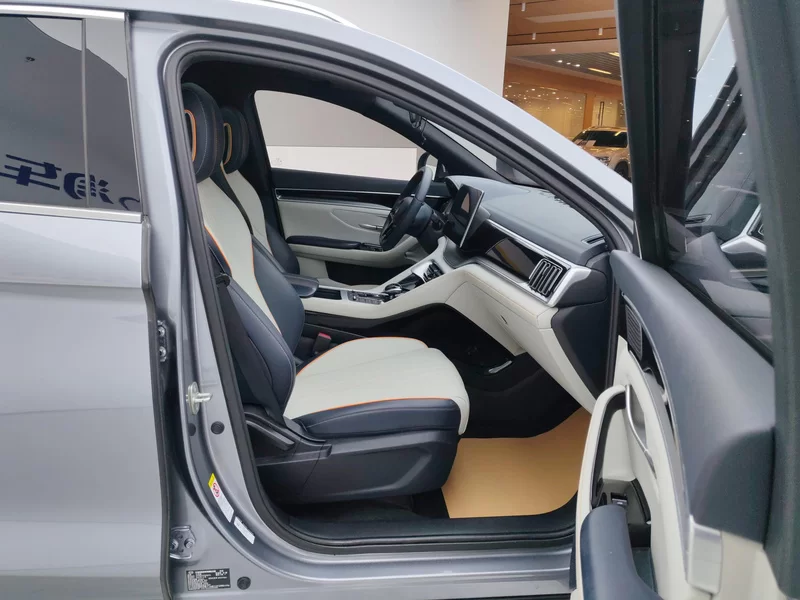 BYD 2022 car image #19