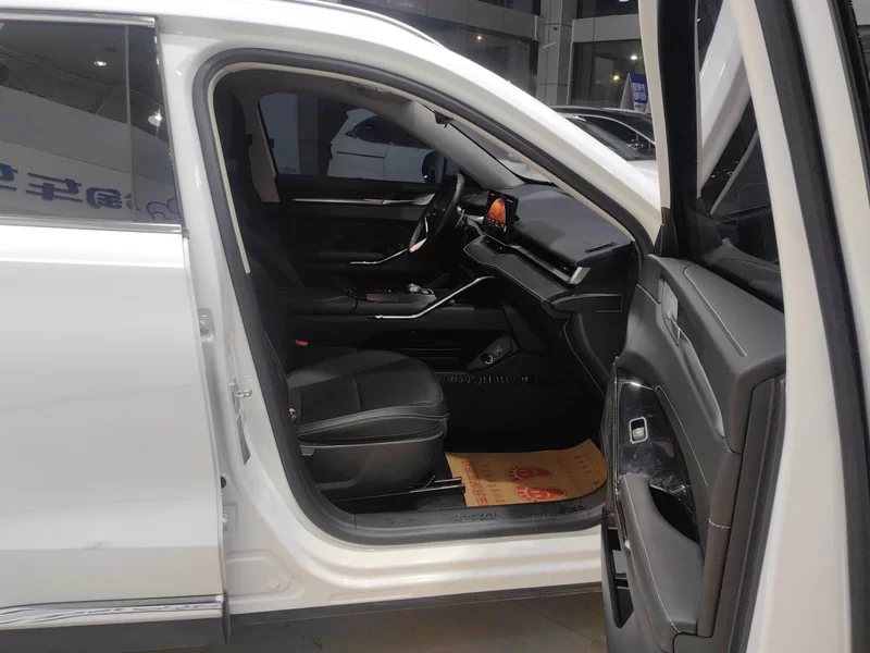 Haval H6 2022 #19 Haval H6 2022 car image #19