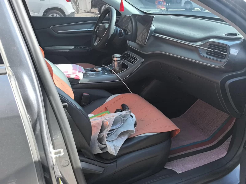 BYD Destroyer 05 2024 изображение автомобиля #19