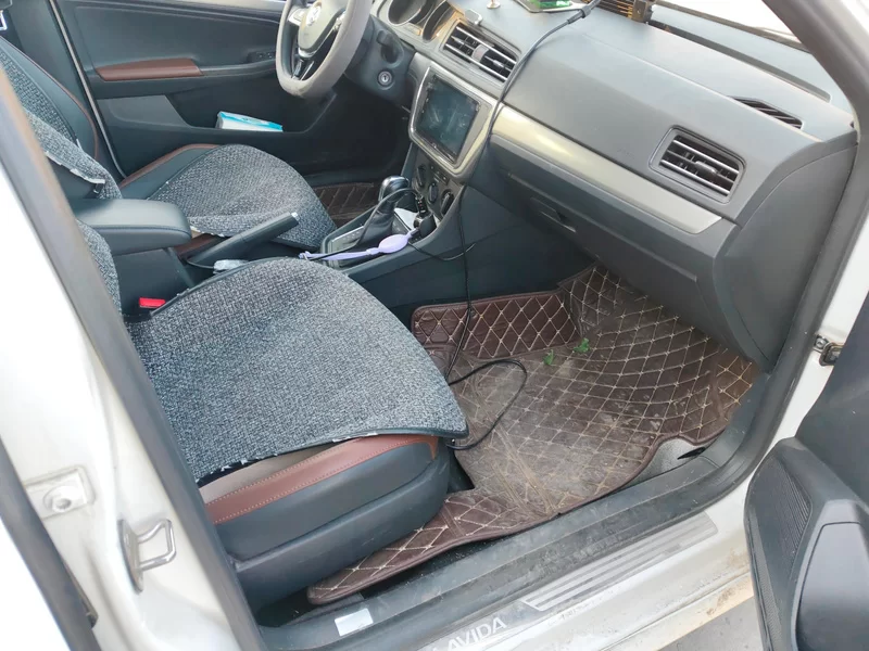 大众 朗逸 2020 汽车图片 #19