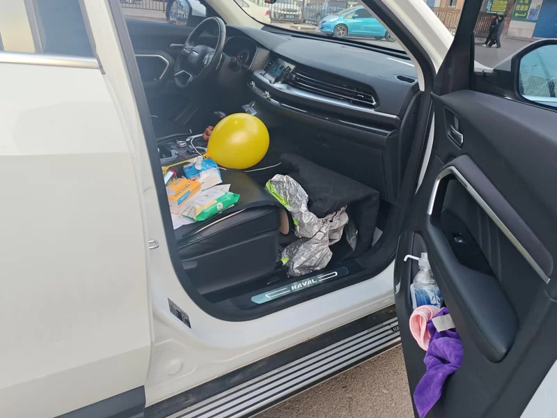 Haval 2018 صورة سيارة #19