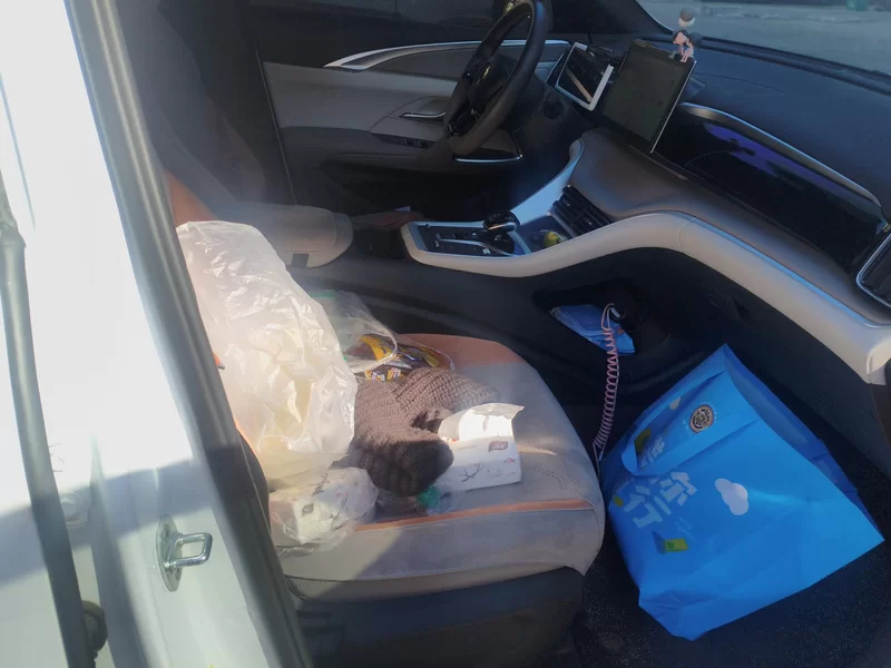 BYD Song Pro New Energy 2024 car image #19