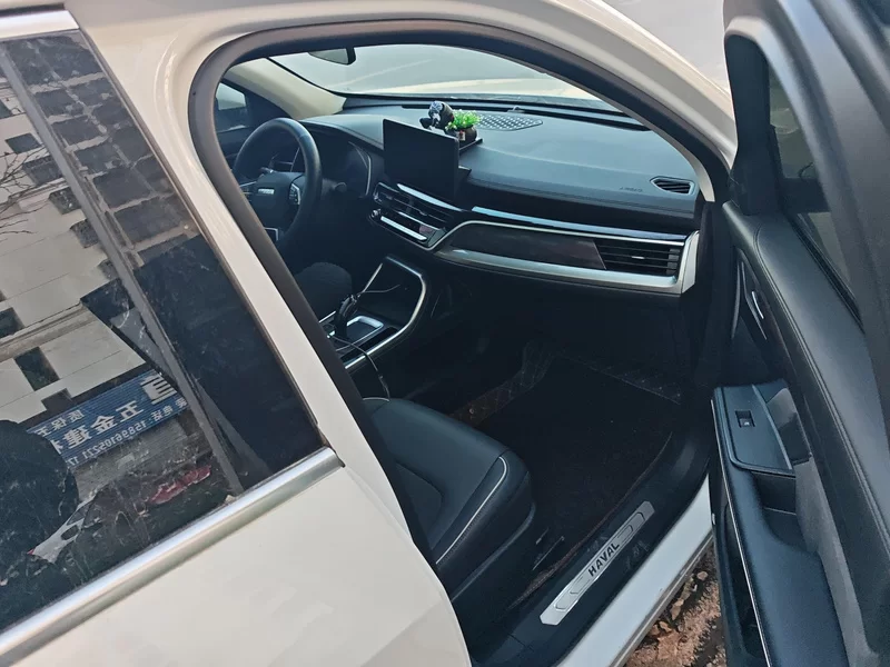 Haval H6 2024 car image #19