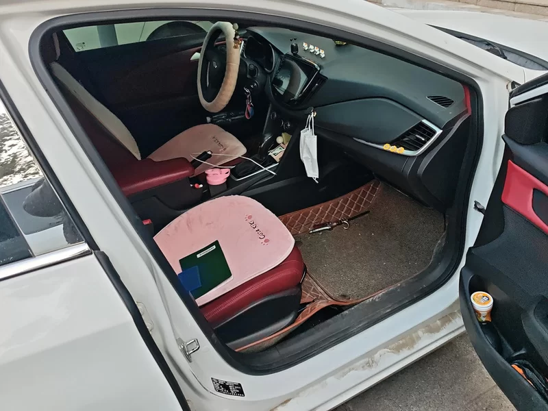 Chevrolet Cavalier 2017 car image #19