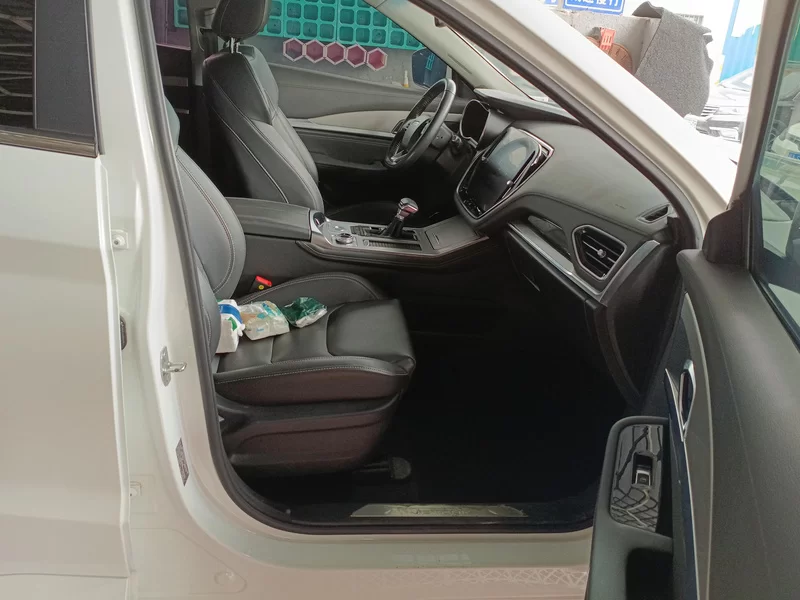 Jetour X70 2020 car image #19