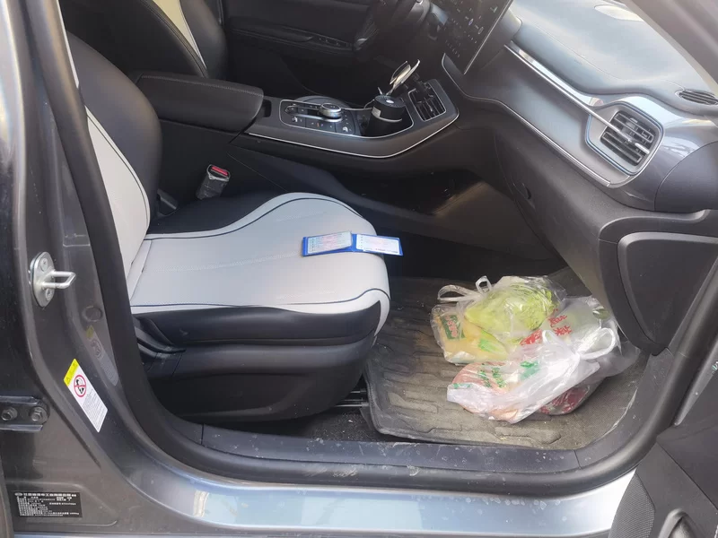 BYD Destroyer 05 2024 car image #19