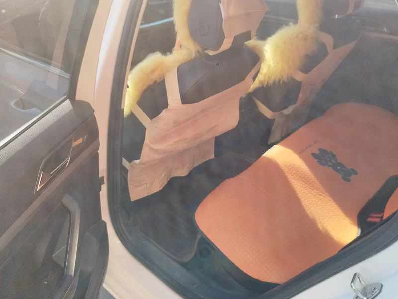 Volkswagen Lavida 2019 car image #19