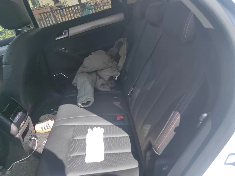 BYD Tang New Energy 2018 car image #19