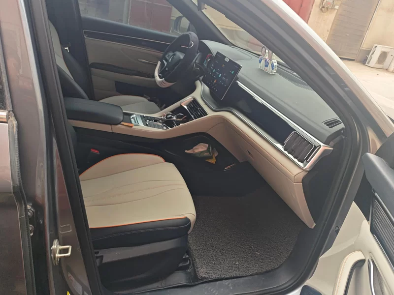 BYD Song Plus New Energy 2022 car image #19