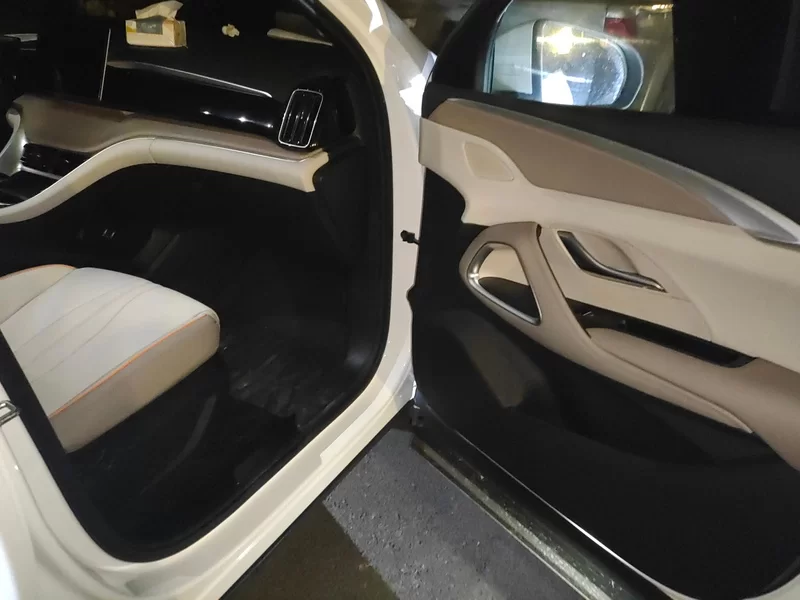 BYD Song Pro New Energy 2024 car image #19