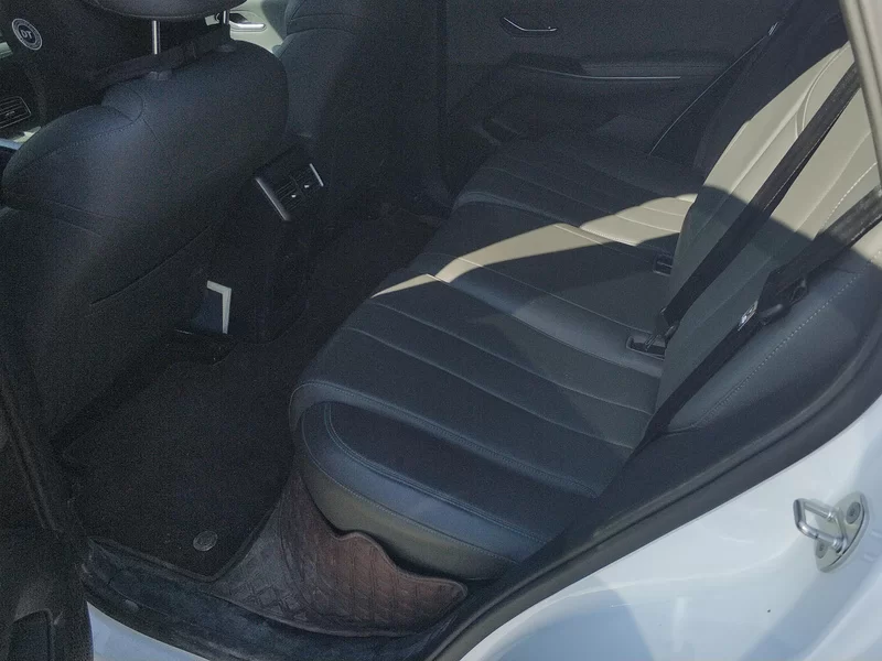 BYD Song Pro New Energy 2025 car image #19