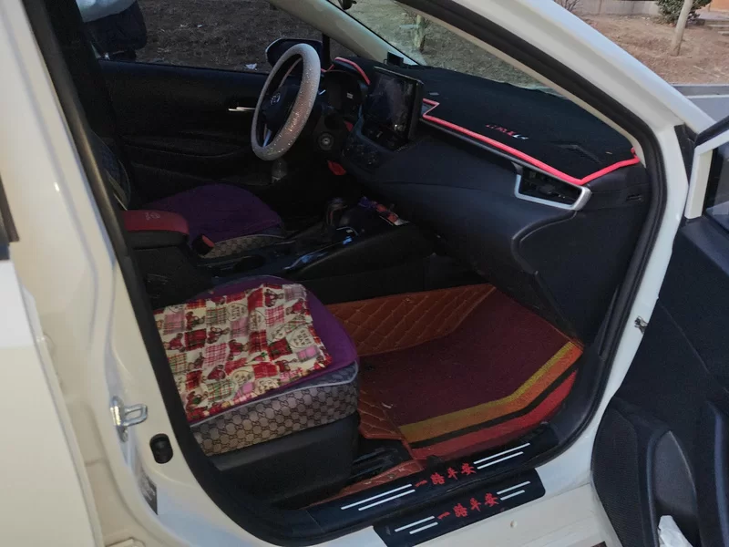 Toyota Corolla 2021 car image #19