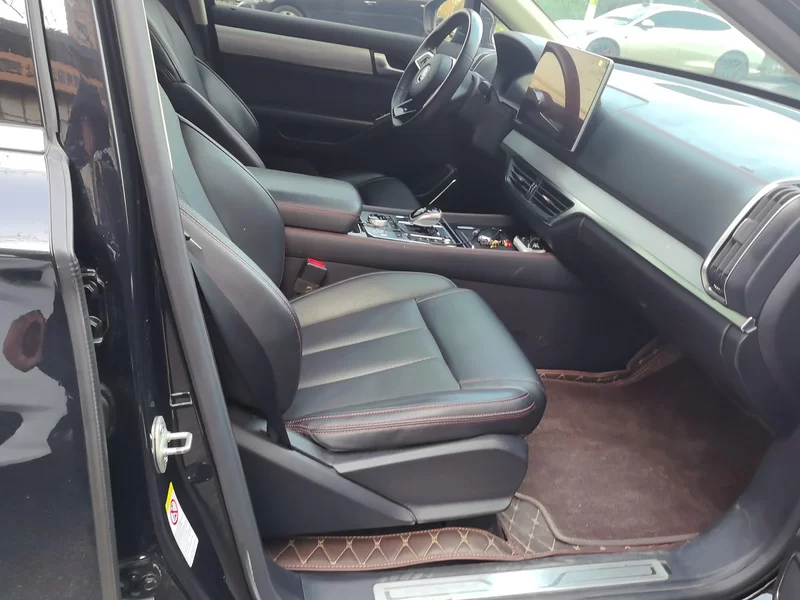 BYD Tang New Energy 2018 immagine di auto #19