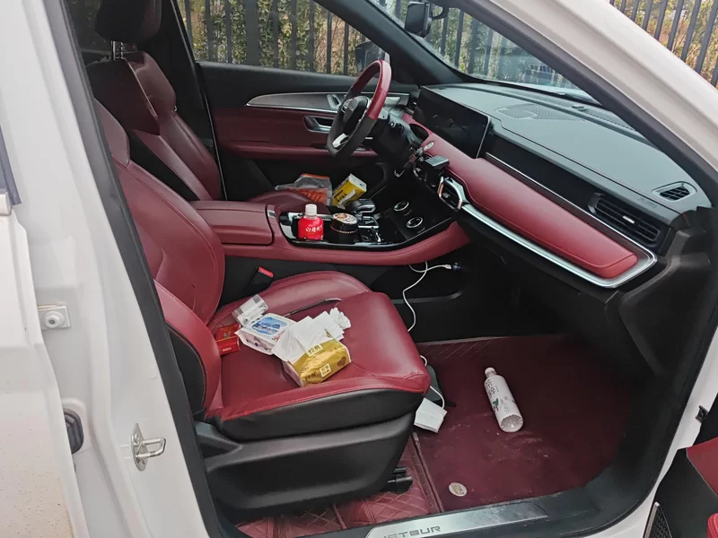 Jetour X70 2021 car image #19