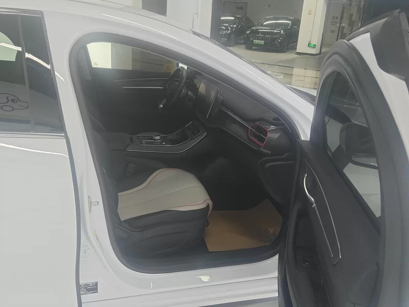 BYD Destroyer 05 2023 car image #19