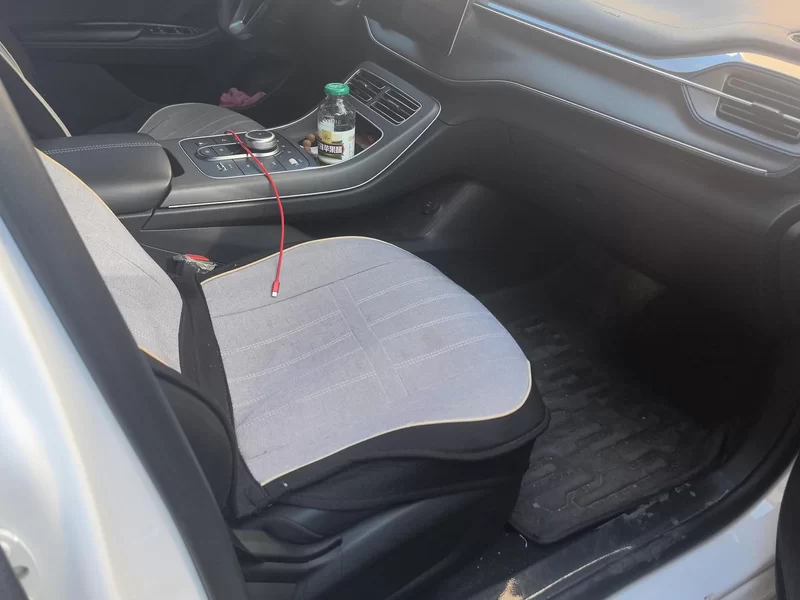 BYD Destroyer 05 2024 imagen de coche #19