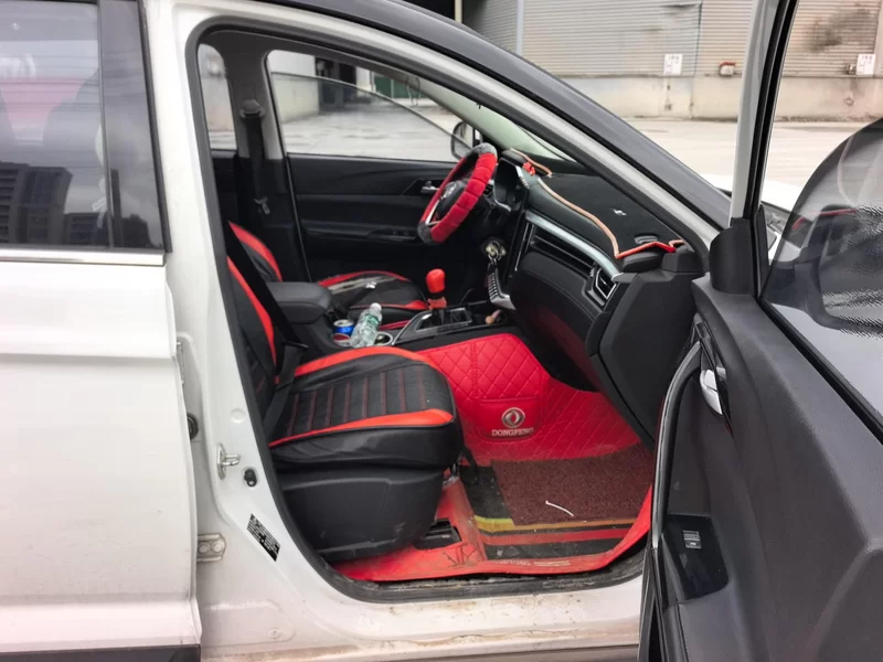 Forthing T5 2020 car image #19