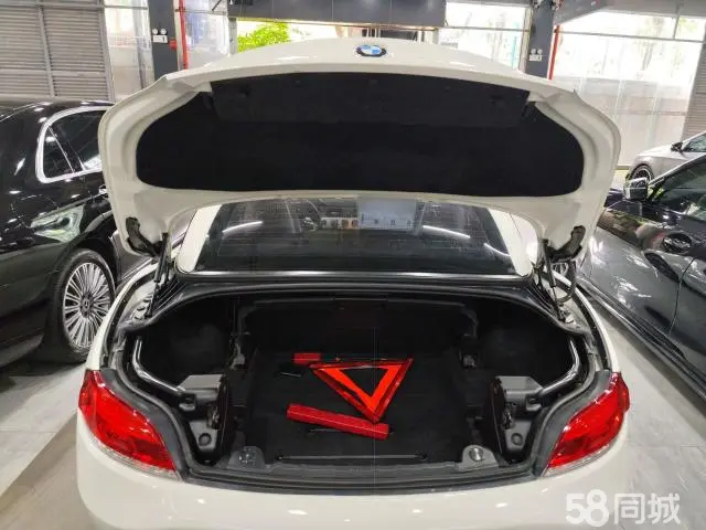 BMW Z4 2010 #19 BMW Z4 2010 car image #19