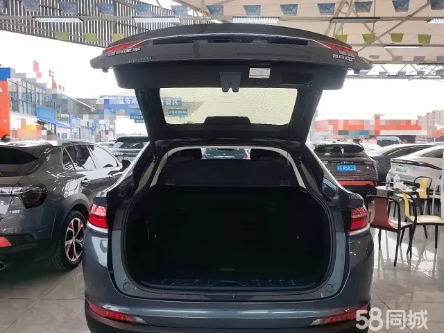 GEELY Tugella 2019 car image #19