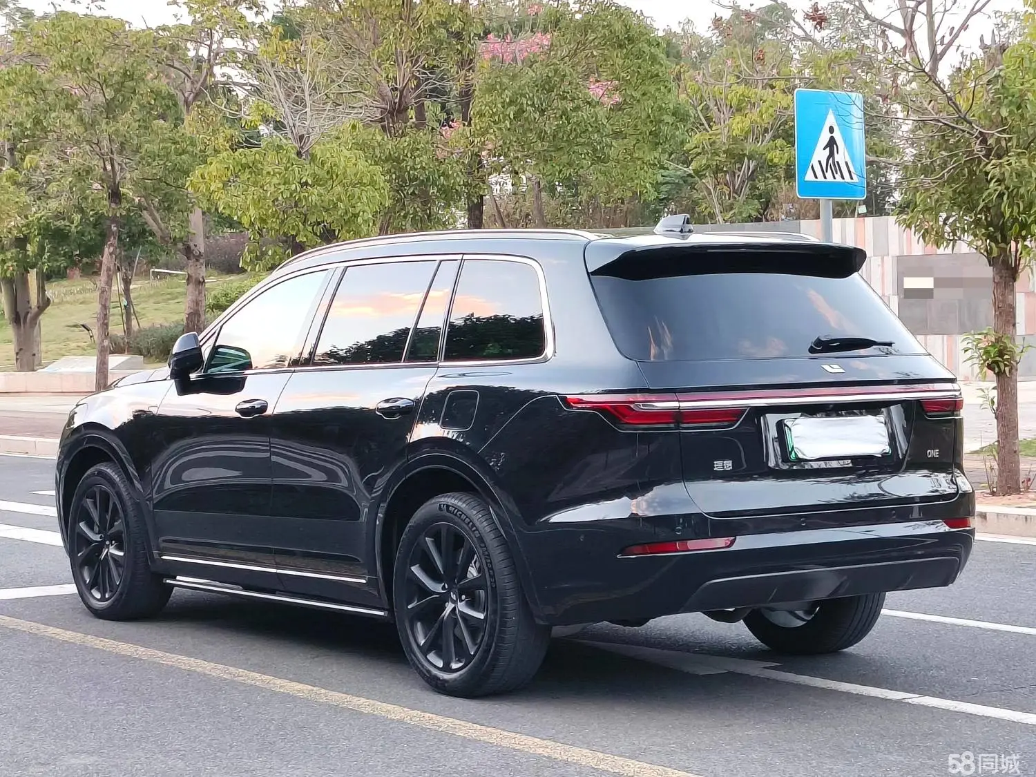 Li One 2021 imagen de coche #19