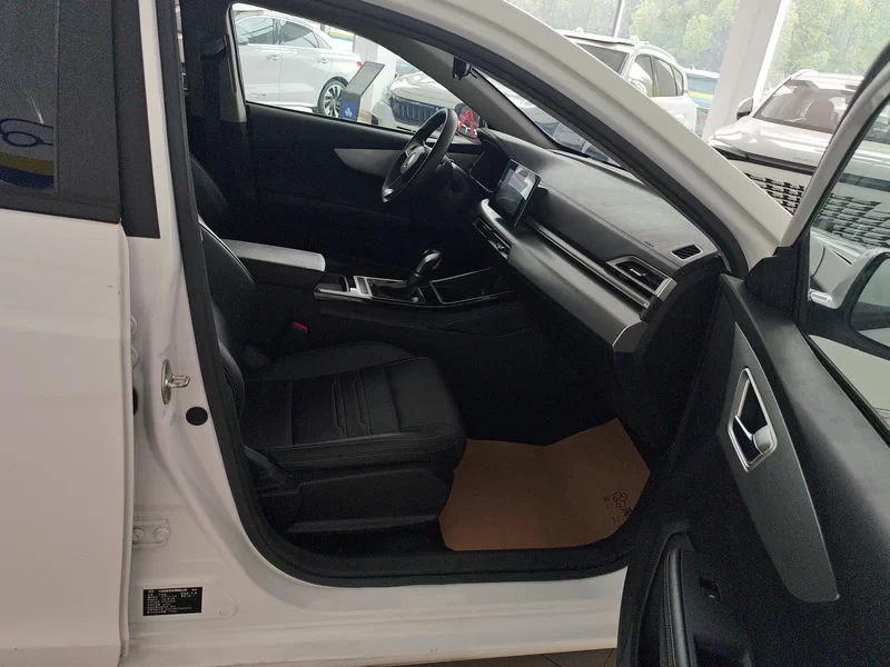 BYD Qin 2021 immagine di auto #19