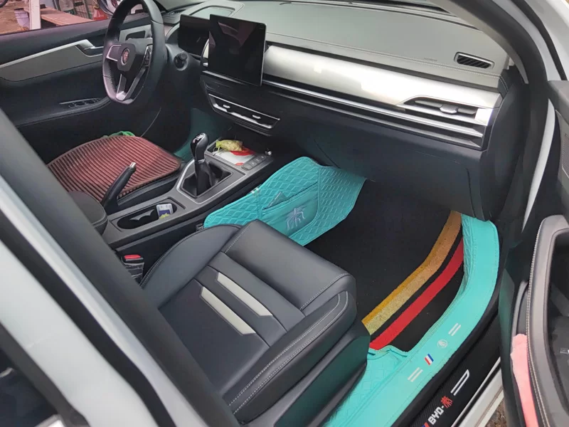 BYD Qin Pro 2021 car image #19