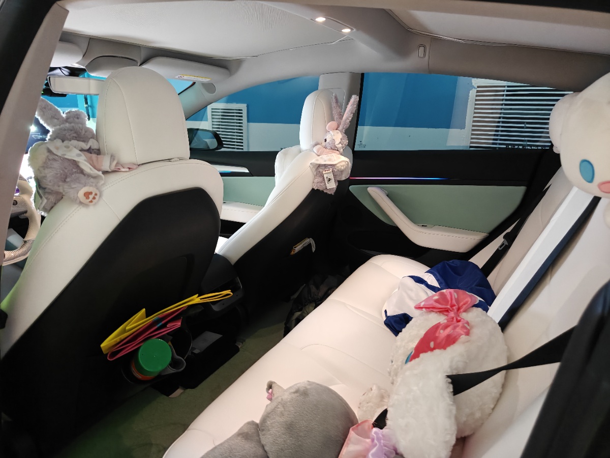 Tesla Model 3 2021 car image #10