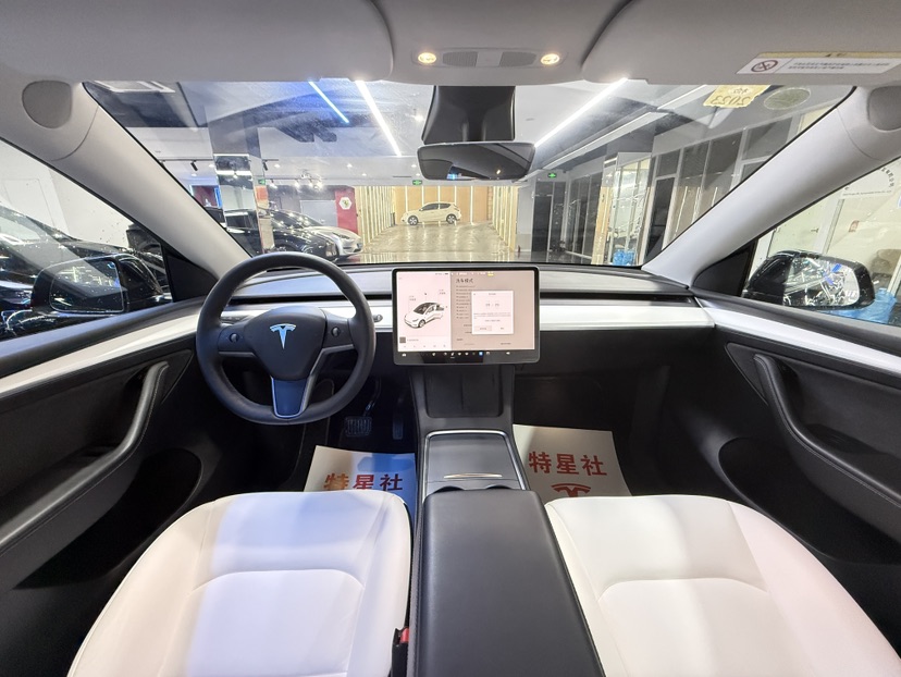 Tesla Model Y 2021 #6 Tesla Model Y 2021 car image #6