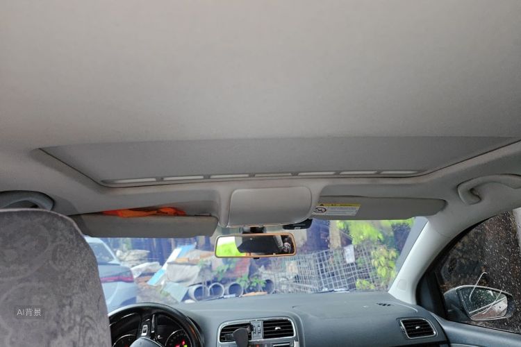 Volkswagen Polo 2016 car image #20