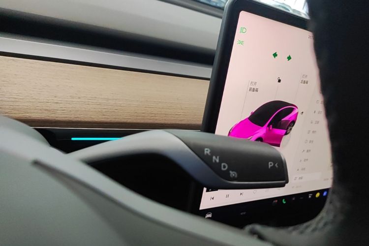 Tesla Model Y 2022 car image #18