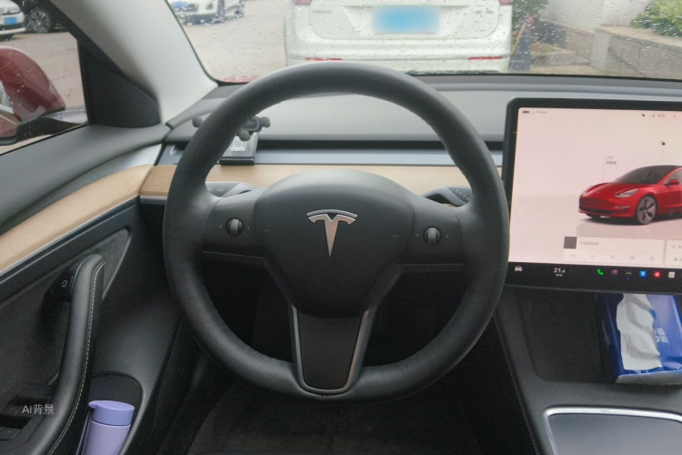 Tesla Model 3 2022 #12 Tesla Model 3 2022 car image #12