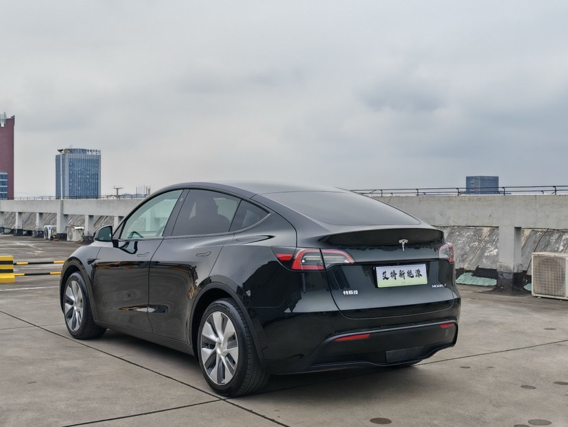 Tesla Model Y 2021 #3 Tesla Model Y 2021 car image #3
