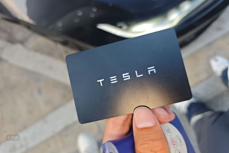 Tesla Model 3 2025 car image #10