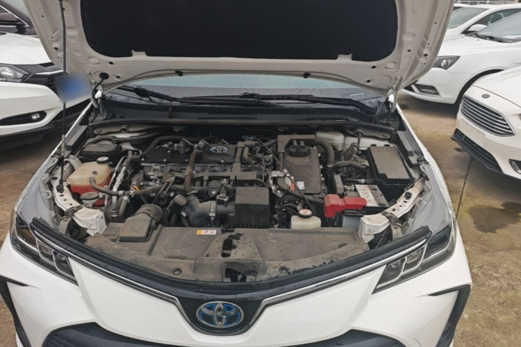 Toyota Corolla 2021 car image #20
