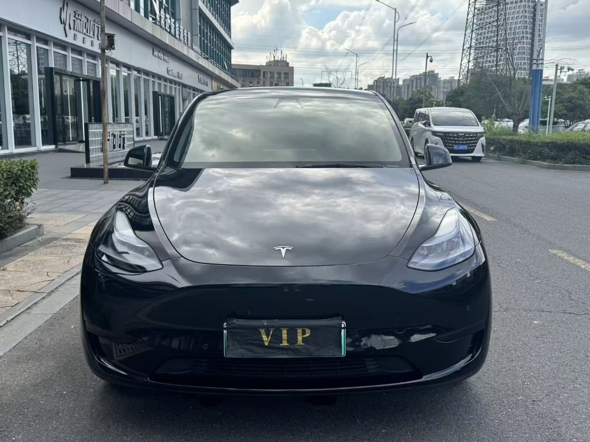 Tesla Model Y 2022 Tesla Model Y 2022 car image