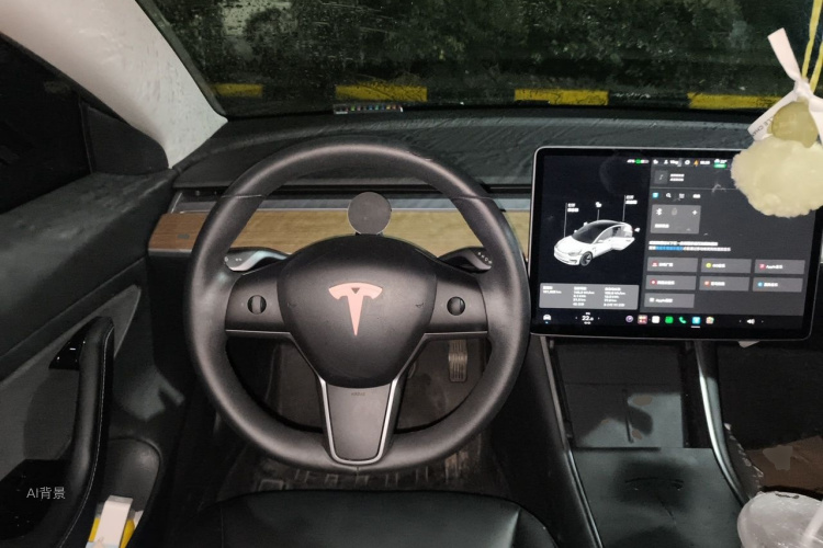 Tesla Model 3 2020 car image #12