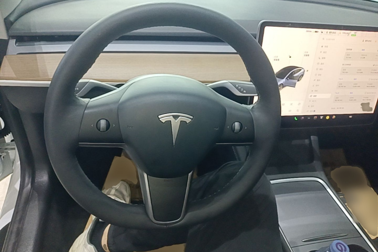 Tesla Model 3 2021 #11 Tesla Model 3 2021 car image #11