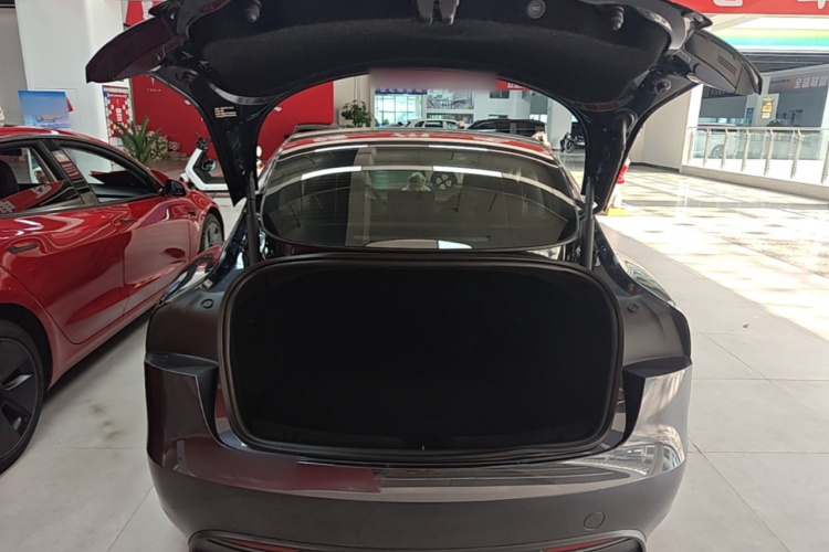 Tesla Model 3 2024 #21 Tesla Model 3 2024 car image #21