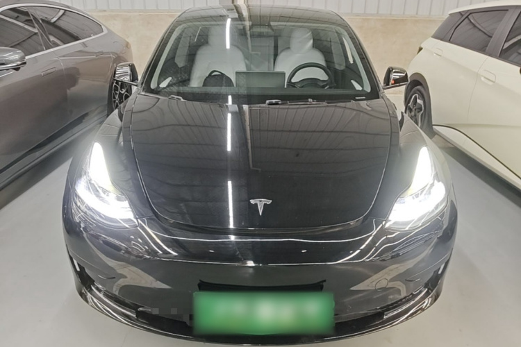 Tesla Model 3 2021 #3 Tesla Model 3 2021 car image #3