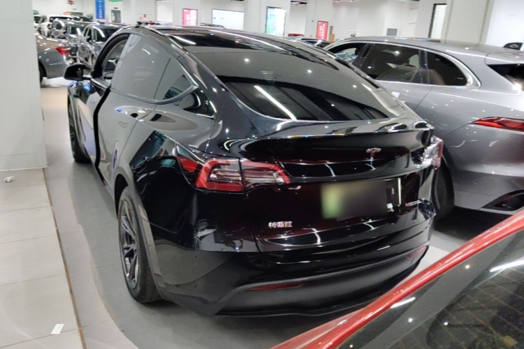 Tesla Model Y 2023 car image #6