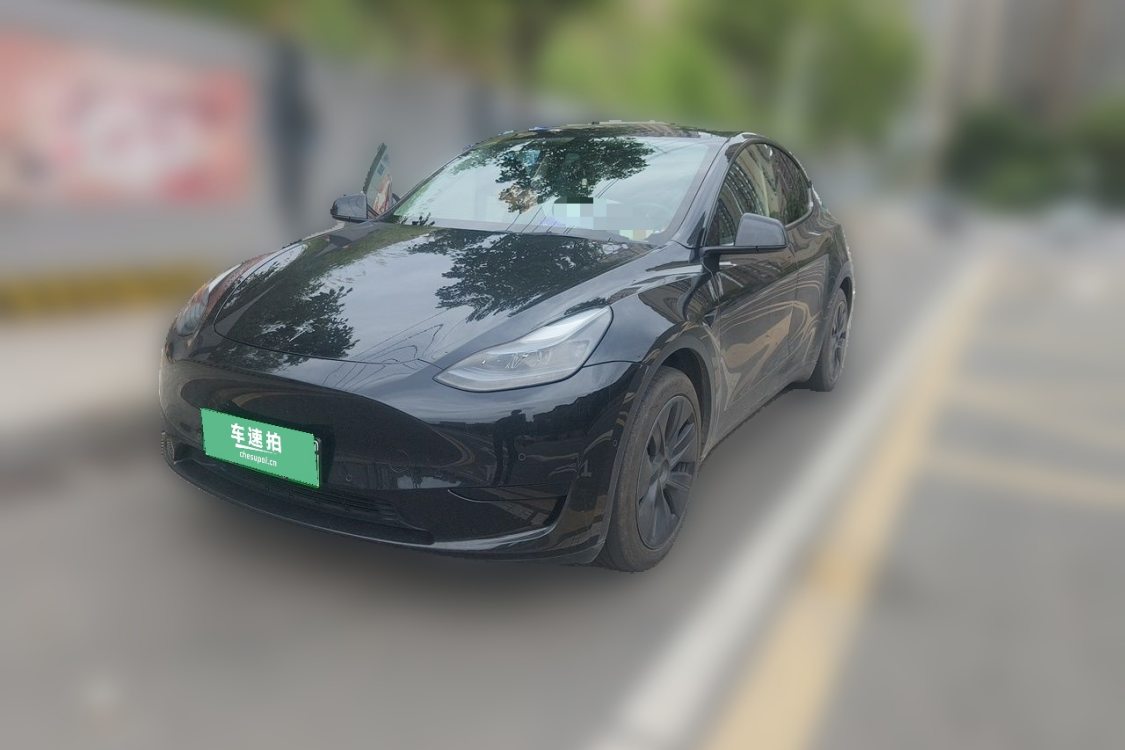 Tesla Model Y 2023 Tesla Model Y 2023 car image