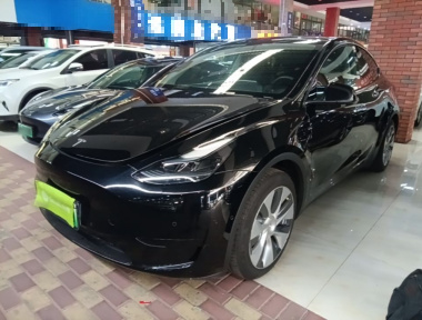 Tesla Model Y 2023 Tesla Model Y 2023 car image