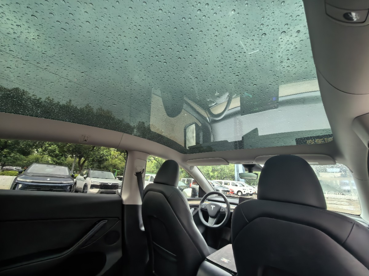 Tesla Model Y 2023 #10 Tesla Model Y 2023 car image #10